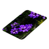 Paarse sleepboot Lantana #1 Magnet Magneet (Linkerzijde)