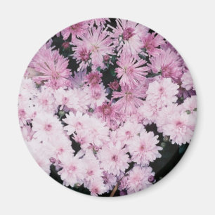 paarse slijm magneet