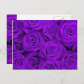 Paarse spectaculaire Rozen Briefkaart (Voorkant / Achterkant)