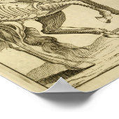 -paarse-spieren Anatomie-kunst afdrukken Poster (Hoek)