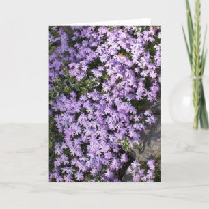 "Paarse Springtime" blanco Wenskaart Kaart