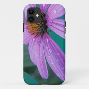 Paarse steenbloem met waterdruppels iPhone 11 hoesje