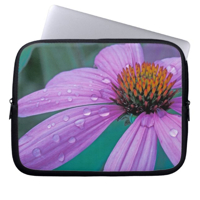 Paarse steenbloem met waterdruppels laptop sleeve (Voorkant)