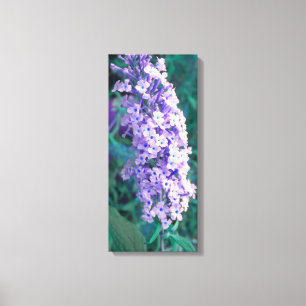Paarse Struik van de Butterfly Canvas Afdruk