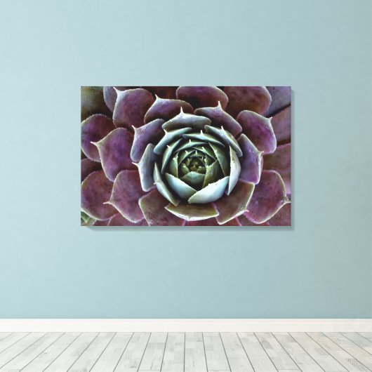 Paarse Succulent Close-up Canvas Afdruk (Insitu (Houten vloer))