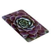Paarse Succulent Close-Up Magneet (Rechterzijde)