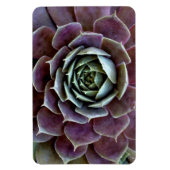 Paarse Succulent Close-Up Magneet (Verticaal)