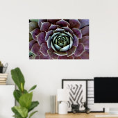 Paarse Succulent Close-up Poster (Thuiskantoor)