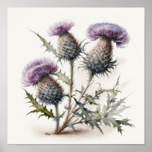 Paarse Thistle Flower Art Print Poster
