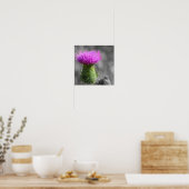 Paarse Thistle Flower Partiële kleur Poster (Keuken)