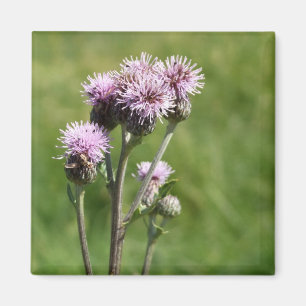 Paarse Thistle Flower Photo Magnet Magneet