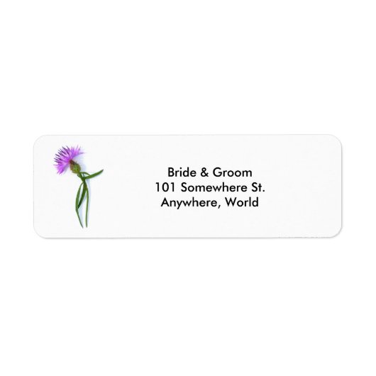 Paarse Thistle Return Address Labels (Voorkant)