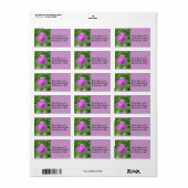 Paarse Thistle Wilde Bloem Etiket (Full Sheet)