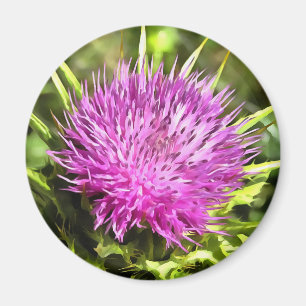 Paarse Thistle Wilde Floral Art Magneet