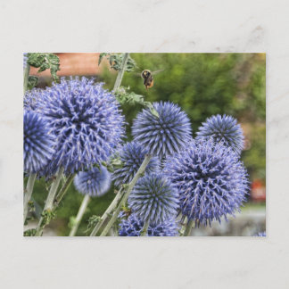 Paarse Thistles en Bee in Brienz, Zwitserland Briefkaart