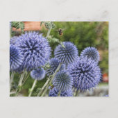 Paarse Thistles en Bee in Brienz, Zwitserland Briefkaart (Voorkant)