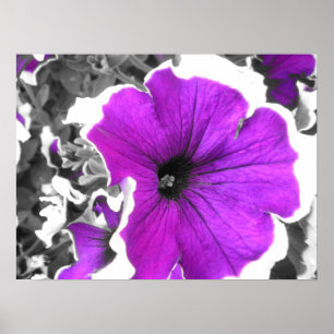 Paarse tintzwarte en witte holte poster