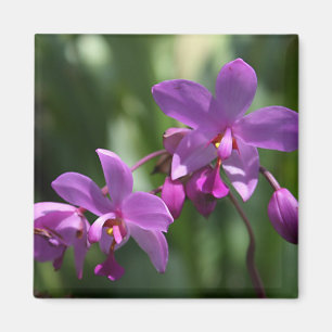Paarse Tropische Bloemen Magnet Magneet