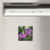 Paarse Tropische Bloemmagneet Magneet (Insitu (Vaatwasser))