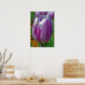 Paarse Tulip Art Poster (Keuken)