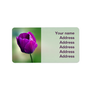 Paarse Tulip Etiket
