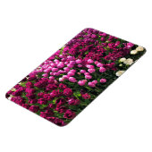 Paarse Tulips Garden Bed Magneet (Linkerzijde)