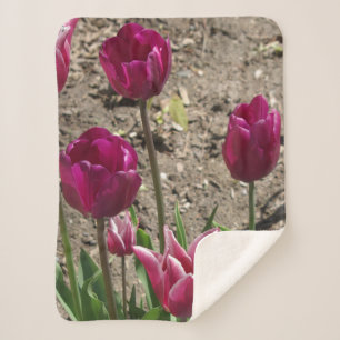 Paarse Tulips sherpa blankert Deken