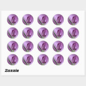 paarse tulp met regendruppels ronde sticker (Vel)