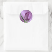 paarse tulp met regendruppels ronde sticker (Tas)