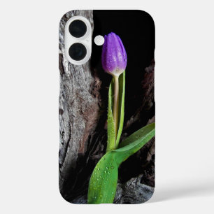 paarse tulp op driftwood iPhone 16 hoesje