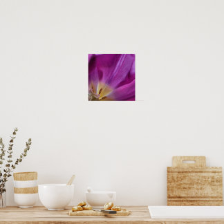 Paarse Tulp Print Bloeiend