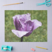 Paarse tulp tissuepapier (Craft)