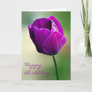 Paarse Tulp Verjaardag Kaart