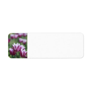 Paarse Tulpen, Adresetiketten van de lente Etiket