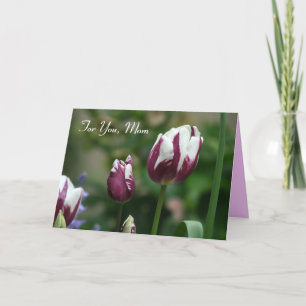 Paarse Tulpen Moederdag Kaart