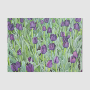 Paarse Tulpen Tissuepapier
