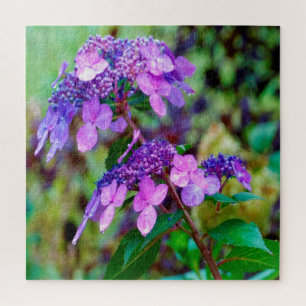 Paarse Twist and Shout Hortensia Bloem Legpuzzel