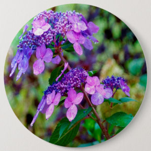 Paarse Twist and Shout Hortensia Bloem Ronde Button 6,0 Cm