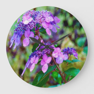 Paarse Twist en Shout Hydrangea Flower Grote Klok