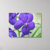 Paarse vanda orchidee uitzicht canvas print (Voorkant)
