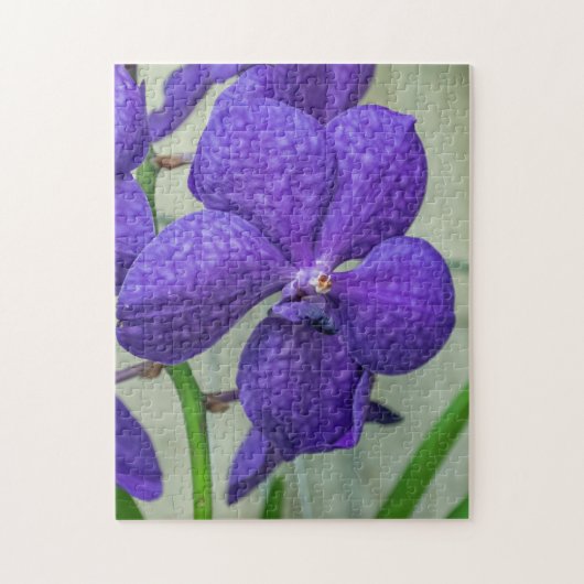 Paarse vanda orchideeën puzzel (Verticaal)