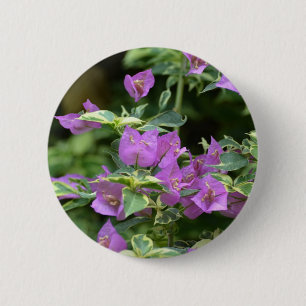 Paarse variëteiten Crepe en Myrtle Ronde Button 5,7 Cm