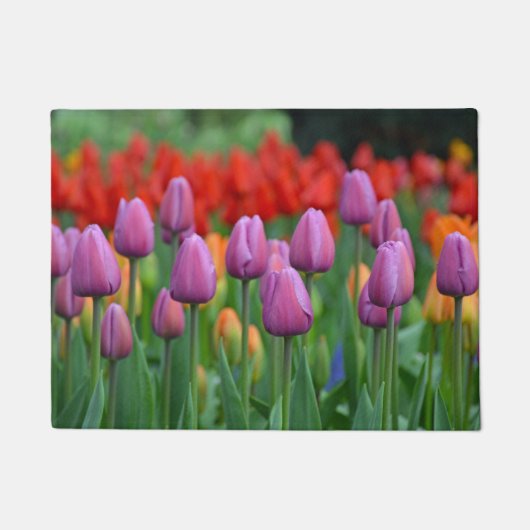 Paarse veertulpen deurmat (Voorkant)
