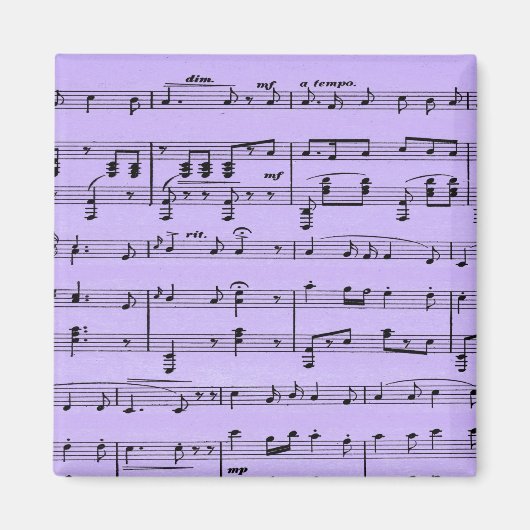 Paarse vel muziek magneet (Voorkant)