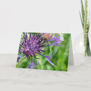 Paarse ventilator kaart