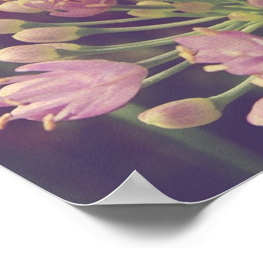 Paarse ventilator Poster (Hoek)