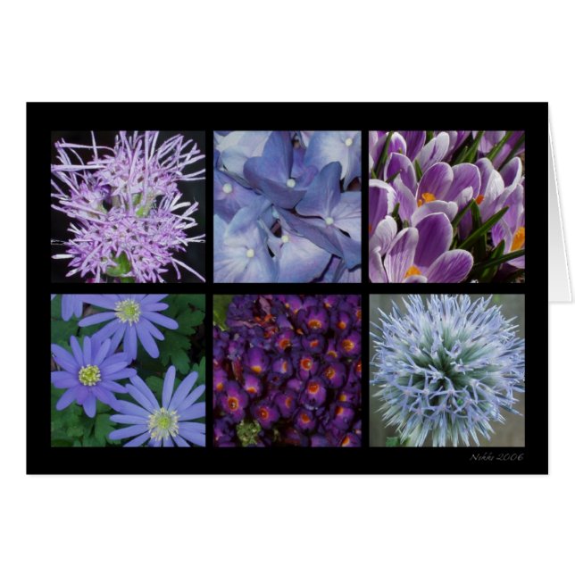 Paarse ventilatorkaart (Voorkant Horizontaal)