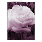 Paarse ventilatorkunst (Voorkant)