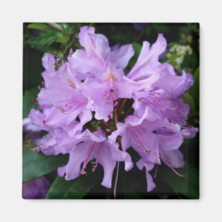 Paarse ventilatormagneet magneet