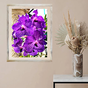 Paarse ventilatormotor orchidee tropisch Plant Poster